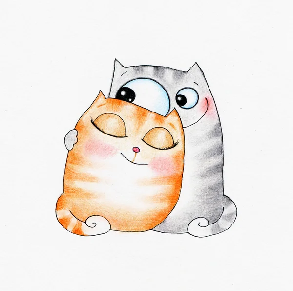 İki aşık kedi.