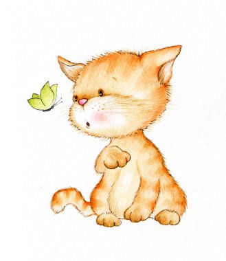 şirin kedi yavrusu