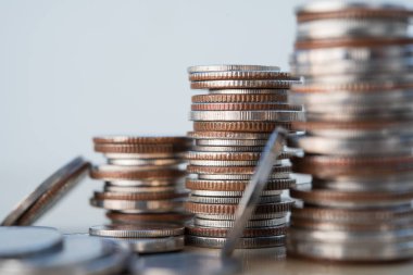 Para satırları, finans ve iş geçmişi için kopyalama alanı ile makro çekim