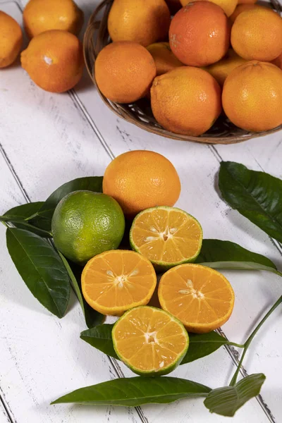 Rangpur Citrus Limonia Citrus Reticulata Medica 만다린 란다린 불리기도 — 스톡 사진