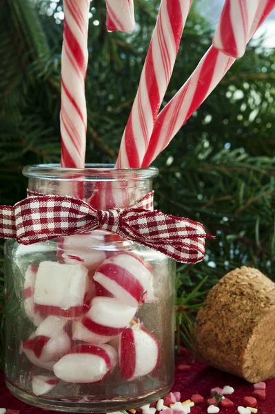 Bunch of red and white striped candy canes in glass jar on chri — Stock Photo, Image