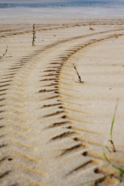 lastik izleri parmak bir plaj kum