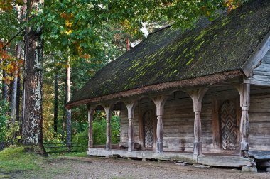 yaprak dökmeyen ağaçlar ormanlık ormandaki eski günlük kabin