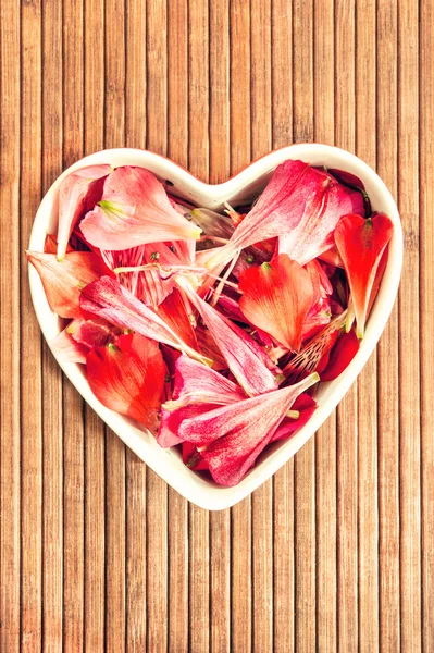 Printemps pétales floraux aiment décor en forme de coeur. Filtre vintage . — Photo
