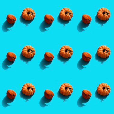 Sonbahar Cadılar Bayramı konsepti. Balkabaklarının deseni. Mavi arka planda düz uzandı.