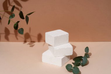 Kozmetik ürünleri için arka planda tropikal bir yaprağın gölgesi olan doğal taştan yapılmış podyum. Doğal maddelerden güzel bir arkaplan