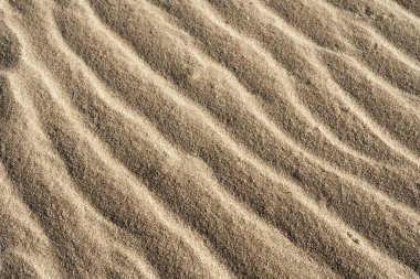 Kum arka plan dokusu yakın çekim