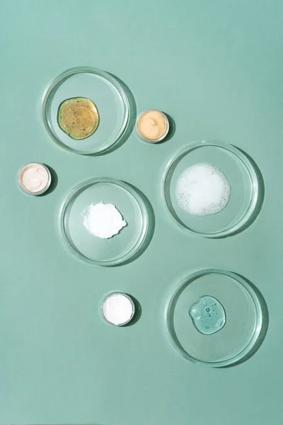 Produtos cosméticos, esfregar, soro rosto e gel em muitas placas de Petri em um fundo verde. Cosméticos naturais de ingredientes à base de plantas. Ervas e óleos essenciais em cosméticos. Fotografia De Stock