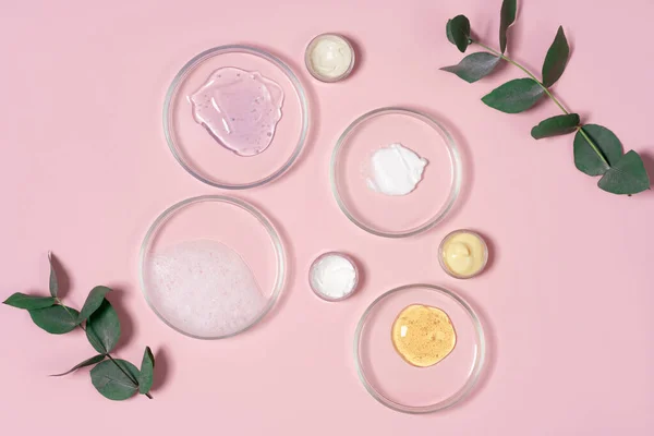 Produtos cosméticos, esfoliação, soro facial e gel em muitas placas de Petri em um fundo rosa. Conceito de pesquisa de laboratório de cosméticos. Fotografias De Stock Royalty-Free
