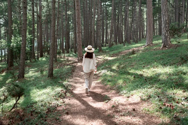 Vista Posteriore Una Giovane Donna Che Cammina Una Foresta Estiva — Foto Stock