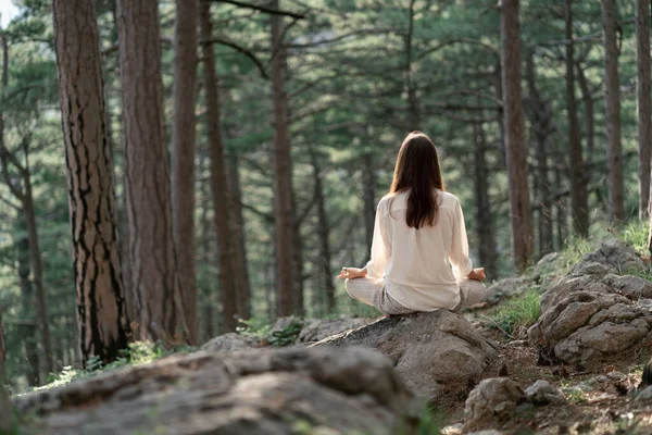 Uzun esmer saçlı güzel bir kadın güzel bir ormanda meditasyon yapıyor. Seyahat ve sağlıklı yaşam tarzı, doğanın keyfi.