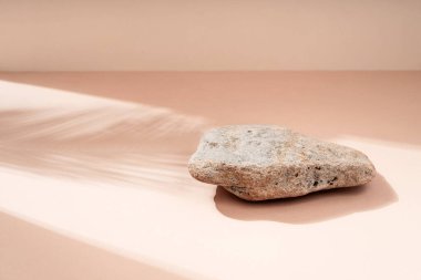 Kozmetik ürünleri için arka planda tropikal bir yaprağın gölgesi olan doğal taştan yapılmış podyum. Doğal maddelerden güzel bir arkaplan.