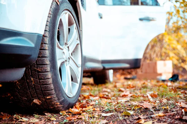 Arka bahçedeki yaprakların üzerinde beyaz araba lastiği. Doğada seyahat etmek. Boşluğu kopyala, kapat