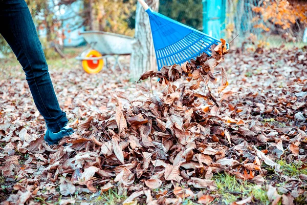 Persone Che Puliscono Raccolgono Spazzatura All Aperto Nel Campo Del — Foto Stock