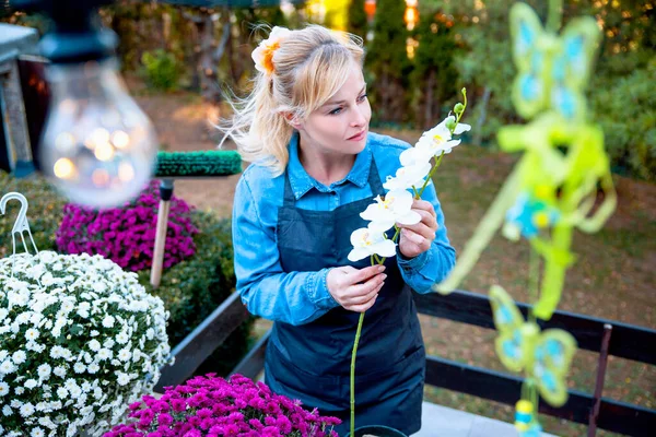 Yeni iş yapan kadın bahçesinde çiçeklerle meyve yetiştiriyor.