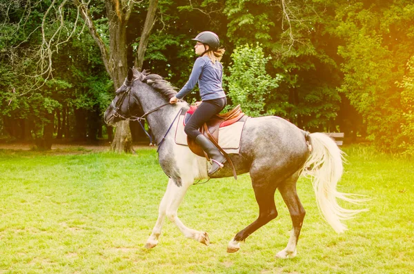 Adolescente Chica Montando Caballo Marrón Bosque Felicidad Recreación Silla Montar —  Fotos de Stock