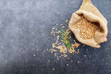 Siyah granit arka planda kumaş torba içinde buğday sırası tohumu. Tohum için hazır. Metin için alanı kopyala