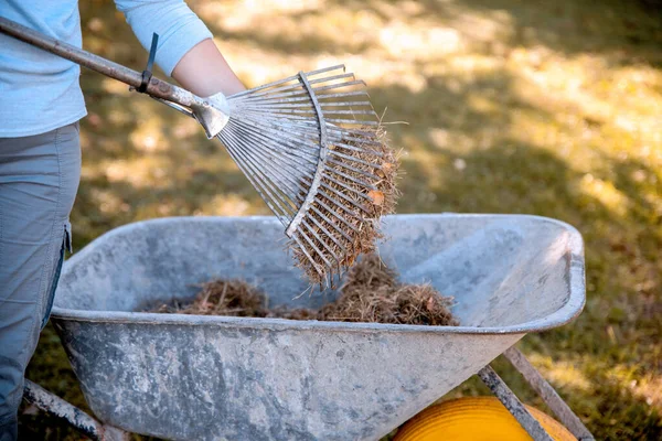 Gardening Business Concept Female Gardener Collecting Cut Lawn Clippings Piled — Foto de Stock