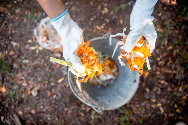 Les Mains Des Femmes Portant Des Gants Jetant Nourriture Biodégradable — Photo