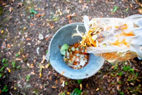 Ręce Kobiet Rękawiczkach Wyrzucających Biodegradowalne Żywność Pozostaje Koszu Wiadra Kompostowanie — Zdjęcie stockowe