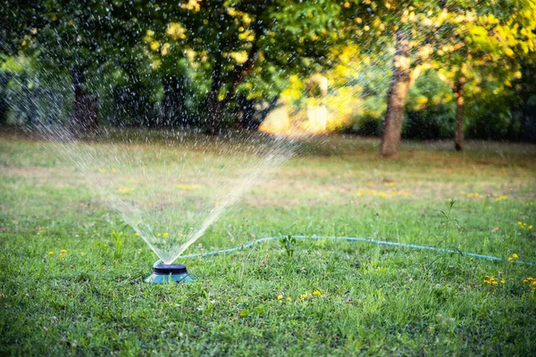Irrigation water sprinkle in the yard lawn or park grass. Automatic Springer spraying shower splash outdoors. Copy space