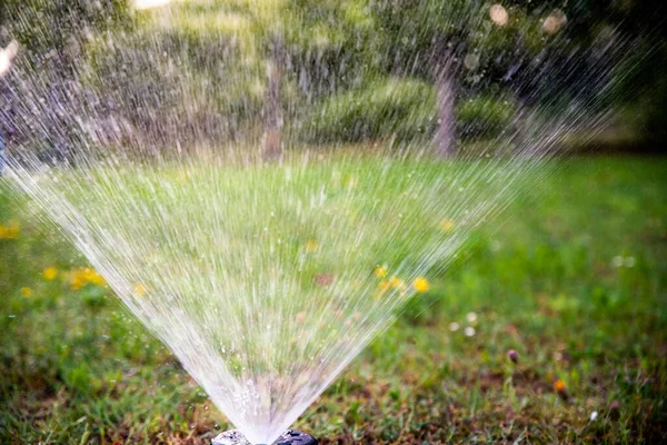 Irrigation Water Sprinkle Yard Lawn Park Grass Automatic Springer Spraying Stock Image