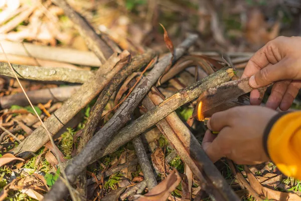 Frau Entzündet Feuer Herbstlichen Wald Bereitet Sich Darauf Vor Nahrung lizenzfreie Stockbilder