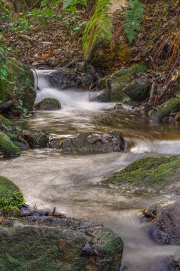 Ormanın ortasında, ipek efektli küçük doğal nehir şelalesi.,