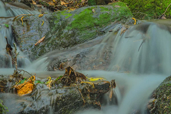 Ormanın ortasında, ipek efektli küçük doğal nehir şelalesi.,