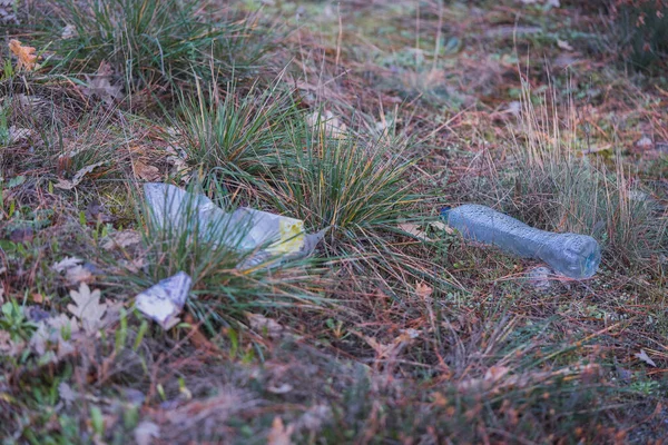 森の小道の葉の中にひっそりと佇む廃プラスチック製のペットボトル — ストック写真