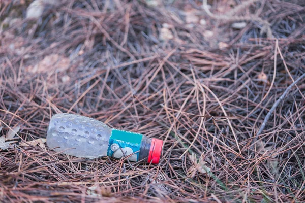 Een Slordig Weggegooide Plastic Waterfles Genesteld Het Gebladerte Een Bospad — Stockfoto