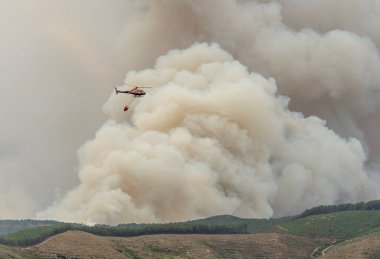İtfaiye helikopteri orman yangınını söndürmek için bir kova su taşıyor.