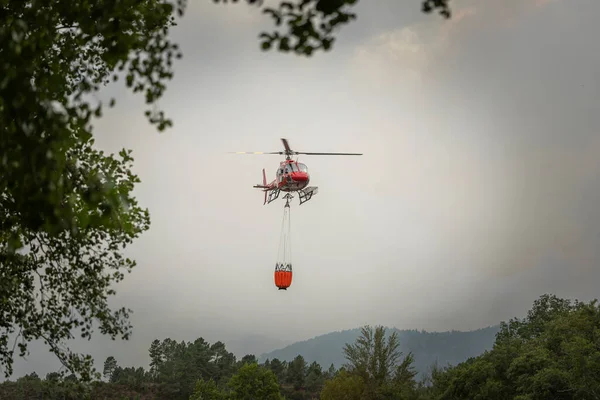 Tfaiye Helikopteri Orman Yangınını Söndürmek Için Bir Kova Taşıyor Telifsiz Stok Fotoğraflar