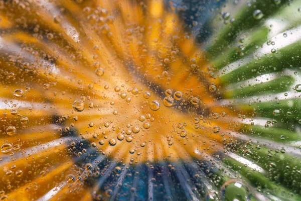 macro of olive oil drops on water as abstract background