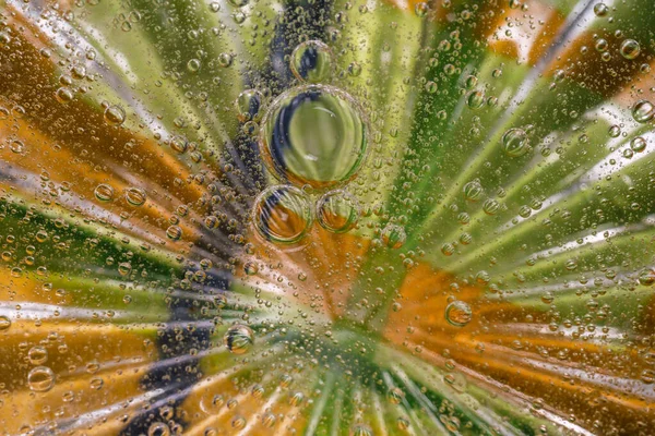 macro of olive oil drops on water as abstract background
