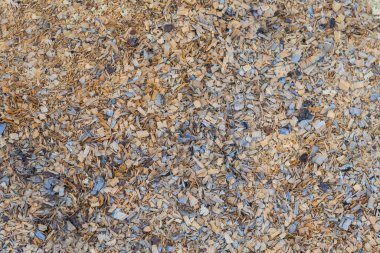 Wood chips texture. Details on the short wooden surface.