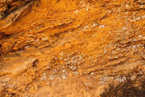 Orange stone background, Orange cement texture, Abstract texture