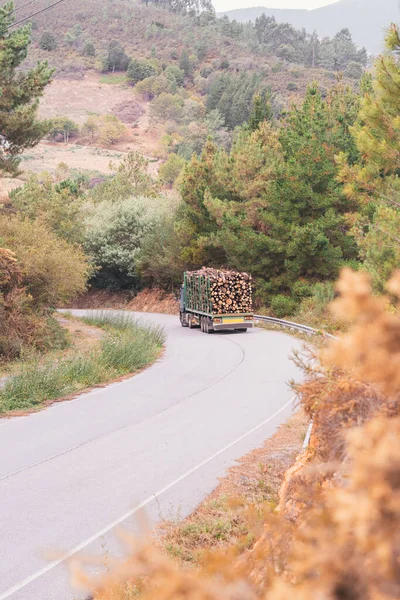 A large truck transporting wood on a mountain road