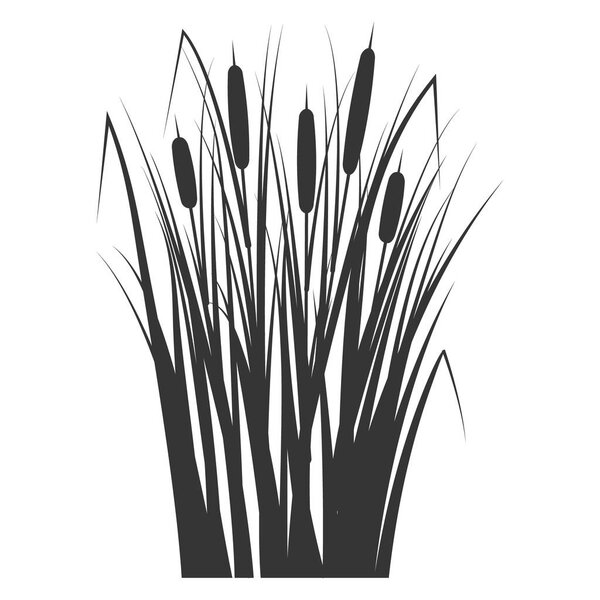 Silhouette of a reed in the green grass. Swamp and river plants. Cattail isolated on white background. Vector flat illustration