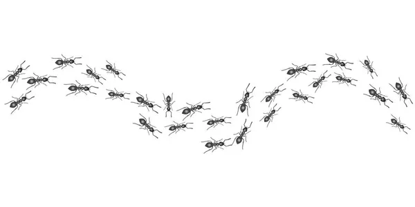 Eine Spur der Ameisen. Insekten marschieren entlang der Linie. Vektor — Stockvektor