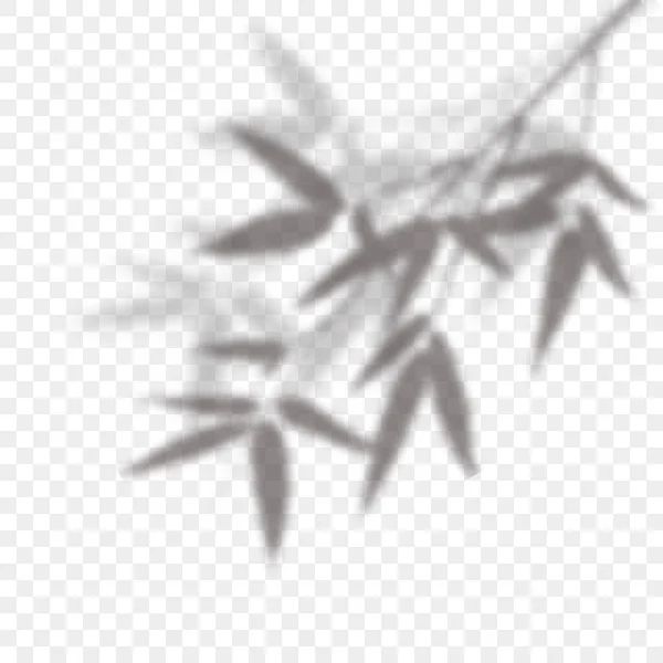 竹の枝のオーバーレイ影。透明な背景に植物の反射の葉。葉の青みがかったシルエット。ベクトルイラスト。EPS10 — ストックベクタ