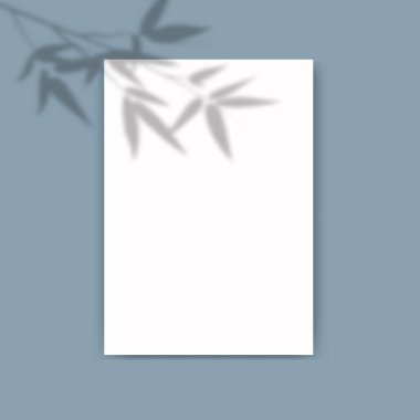 Penceresinde yaprak gölgesi olan A4 kağıt maketi. Mavi arka planda şeffaf bambu dalı yansıması. Poster, el ilanı ve gönderi için gerçekçi bir vektör şablonu.