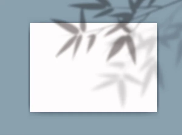窓からのオーバーレイ葉の影とA4紙のモックアップ。青の背景に竹の枝透明反射。ポスター、チラシ、投稿のための現実的なベクトルテンプレート. — ストックベクタ