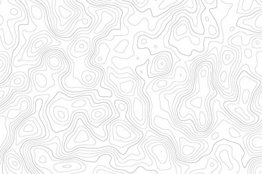 Topography map on white background. Contour line abstract terrain relief texture. Geographic wavy landscape. Vector illustration