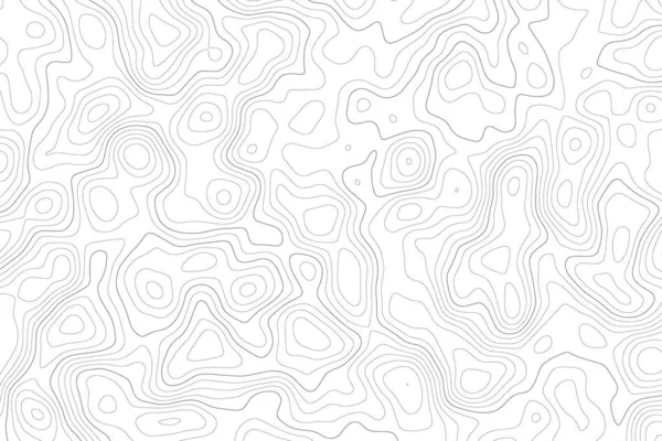 Topography Map White Background Contour Line Abstract Terrain Relief Texture — 스톡 벡터