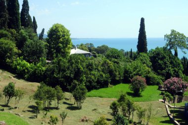 Güneşli bir günde denize bakan selviler ve palmiyelerle Abhazya 'nın yemyeşil doğası..