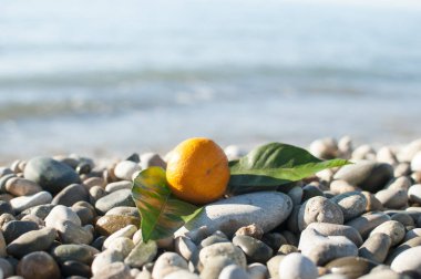 Tangerine with green leaves by the sea on a sunny day.