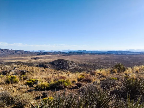 Utsikten Från Toppen Ryan Mountain Inuti Joshua Tree National Park — Stockfoto