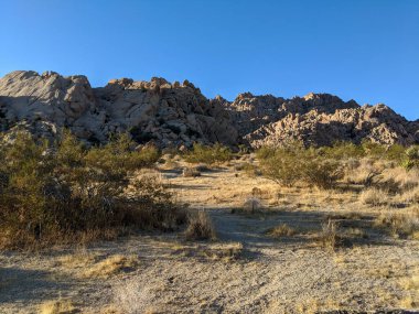 Joshua Tree, California 'daki Indian Cove Kamp alanında kaya oluşumları