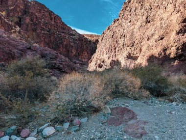 Arizona Havasu Gölü etrafındaki kanyonlarda SARA Yürüyüş Patikası